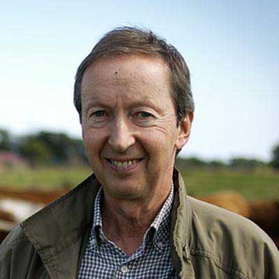 用了就离不开的ip攻击器网页版ddos